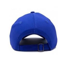 Baseball Caps Hummingbird Hat Baseball Cap Mom Nature Wildlife Birdwatcher Gift - Royal Blue - CC18SNC44X4 $18.19
