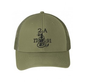 Baseball Caps Gun Snake 2A 1791 AR15 Guns Right Freedom Embroidered One Size Fits All Structured Hats - Olive Green - CQ194E3...