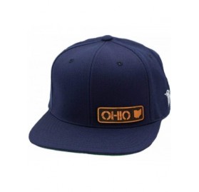 Baseball Caps 'Ohio Native' Leather Patch Snapback Hat - Heather Grey - C218IGOOHCE $19.77