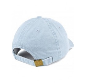 Baseball Caps Established 1973 Embroidered 47th Birthday Gift Pigment Dyed Washed Cotton Cap - Light Blue - C3180MZ73H4 $20.40