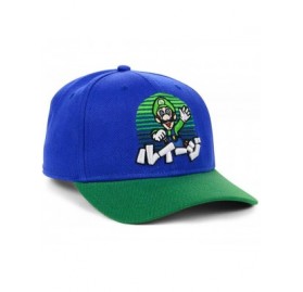 Baseball Caps Nintendo Luigi Kanji Snapback Cap Blue/Green - CP18W6XSOCN $11.92