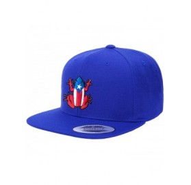 Baseball Caps Puerto Rico Snapback Hats Vintage Hats - Coqui/Stanpback/Royal Blue - C718U8DCS0C $30.98